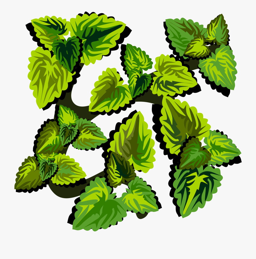 Green Drawing Leafs, Transparent Clipart