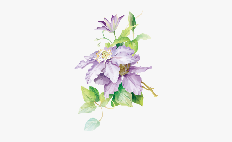 #clematis #bouquet #flower #flowers #purpleflower Flower - Watercolor Painting, Transparent Clipart