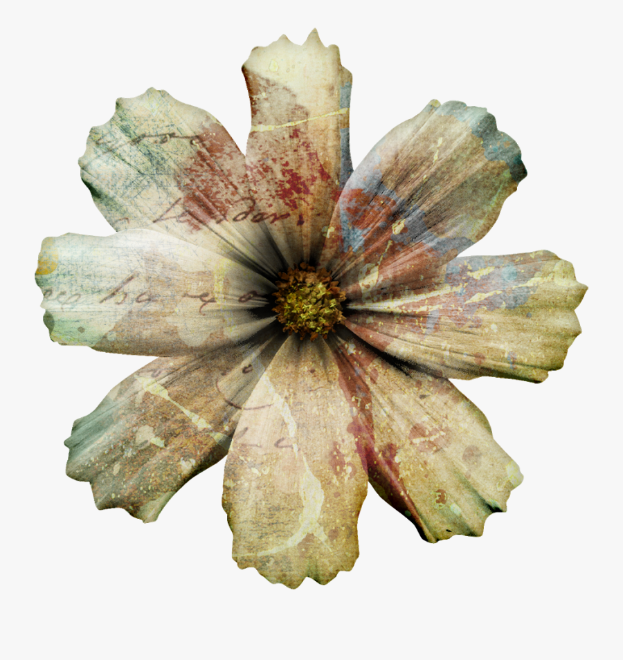 Transparent Flower Overlay Png - Clematis, Transparent Clipart