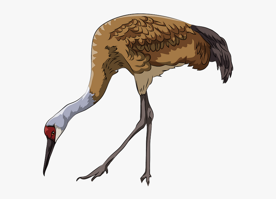 Crane, Transparent Clipart
