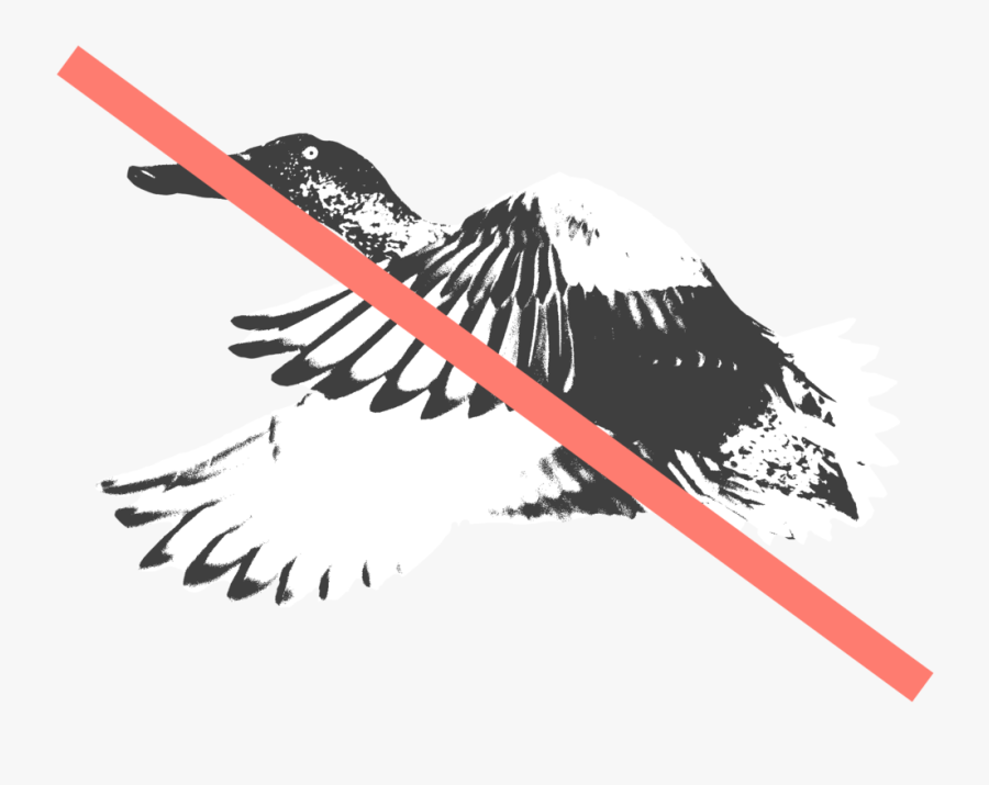 Spoony - Illustration, Transparent Clipart