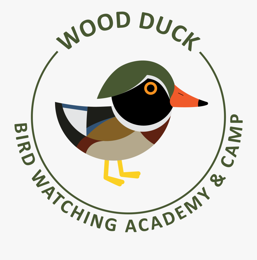 Wood Duck Picture - Afl Football Field Template, Transparent Clipart