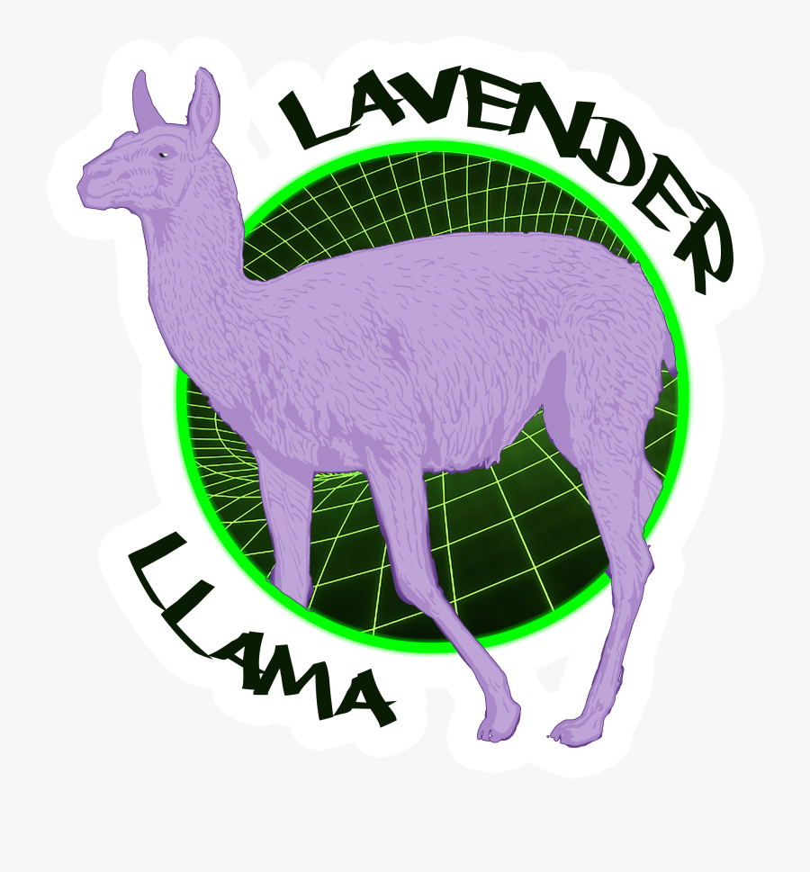 Llama, Transparent Clipart