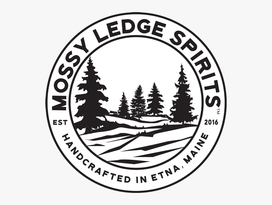 Circle, Transparent Clipart