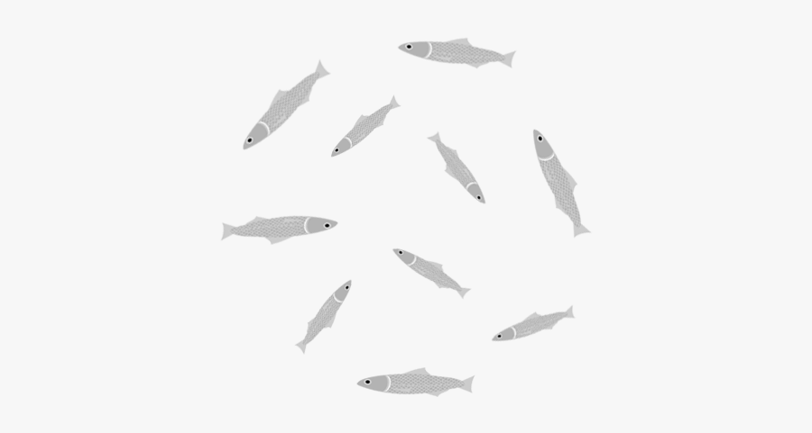 Shark, Transparent Clipart