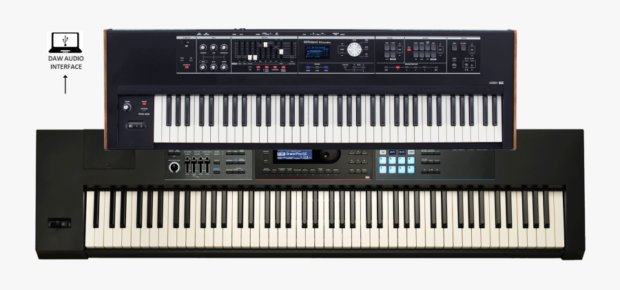 Music Keyboard Png - Roland Keyboard Juno Ds88, Transparent Clipart