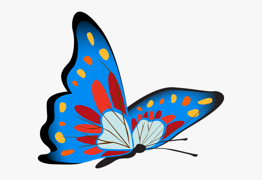 Butterfly, Colorful, Blue, Insect, Decoration, Decor - Gambar Kupu Kupu Warna Warni, Transparent Clipart
