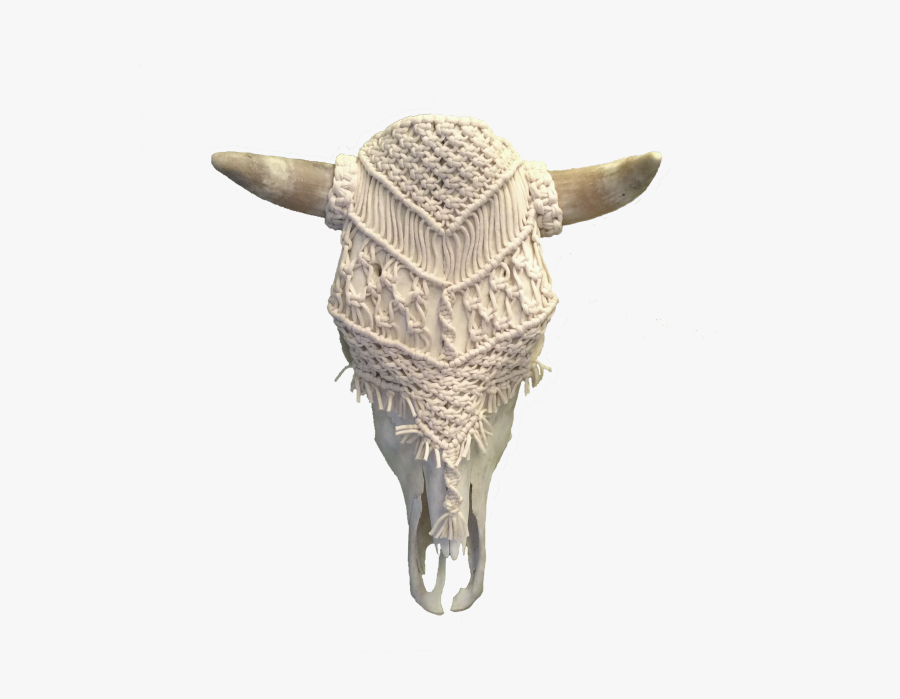 Transparent Metal Skull Png - Armadillo, Transparent Clipart