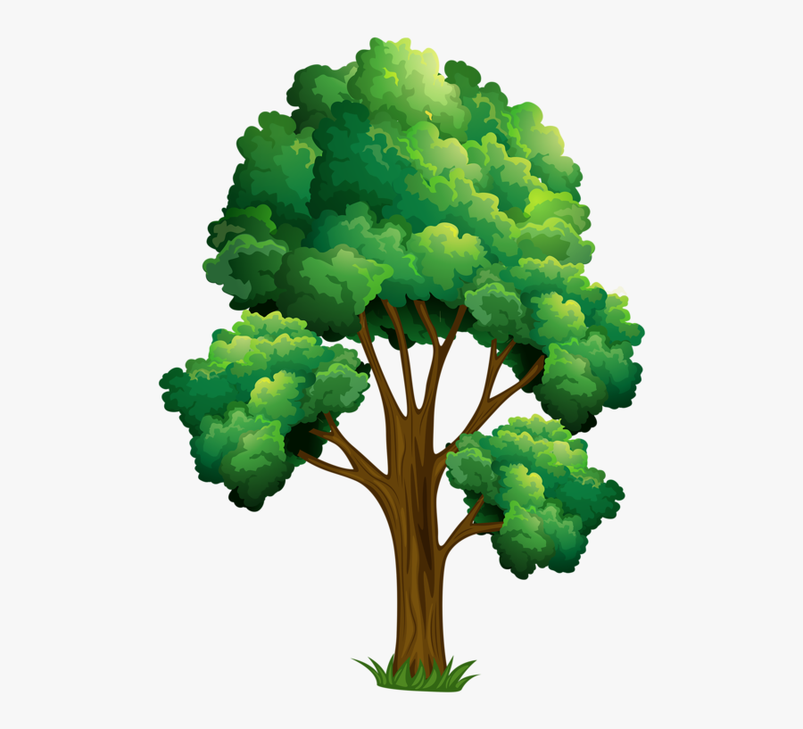 Elm Tree Clipart - Realistic Tree Clip Art, Transparent Clipart