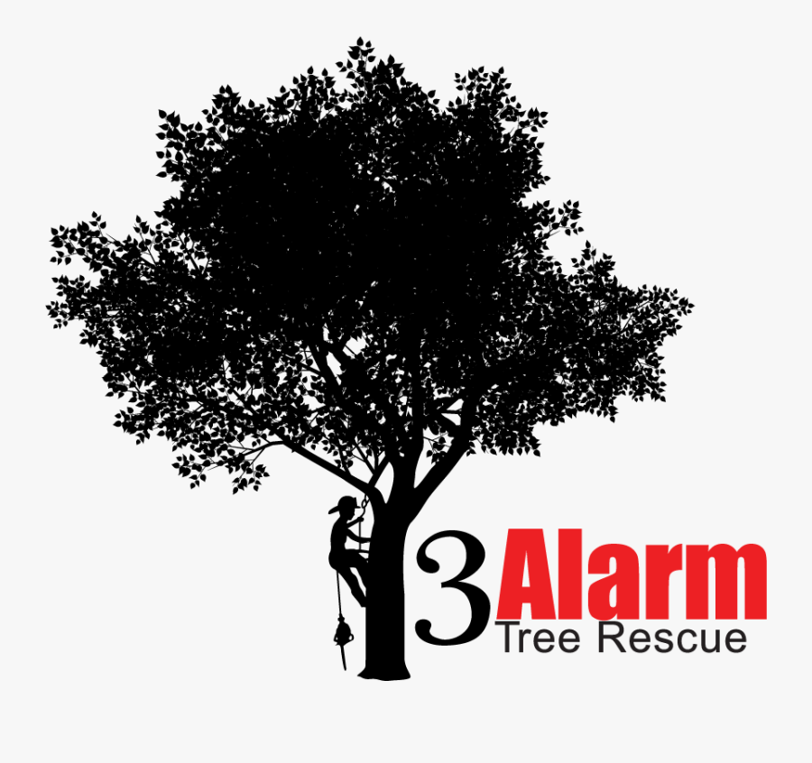 3alarm Tree Services, Transparent Clipart