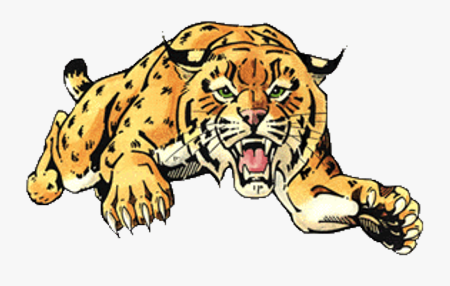 Boys Hockey Goal Crease - Chisago Lakes High School Wildcats, Transparent Clipart