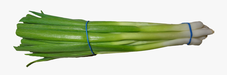Scallion Png, Transparent Clipart