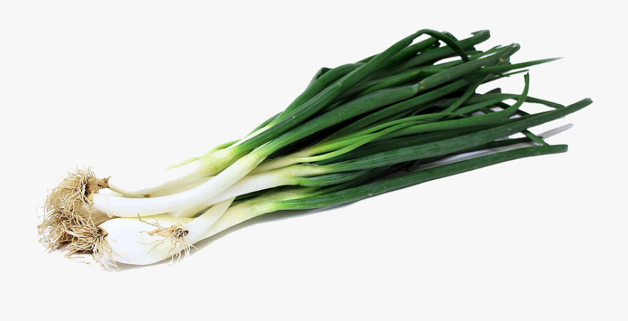 Download Green Onion Png Image For Designing Project - Green Onion Png, Transparent Clipart