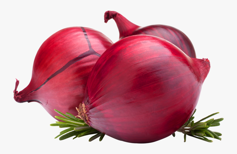 Onion Png Image - Onion Hd, Transparent Clipart