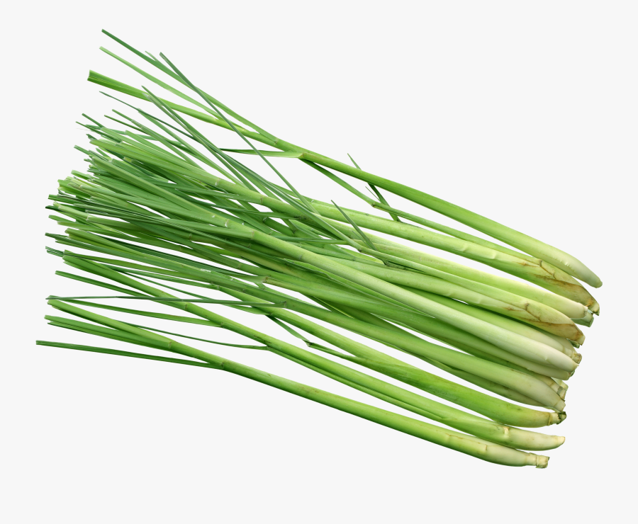 Images In Collection - Lemon Grass Hd Png, Transparent Clipart