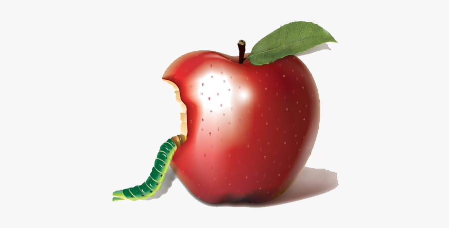 Apple Bobbing Biting Auglis - Insect In Apple, Transparent Clipart