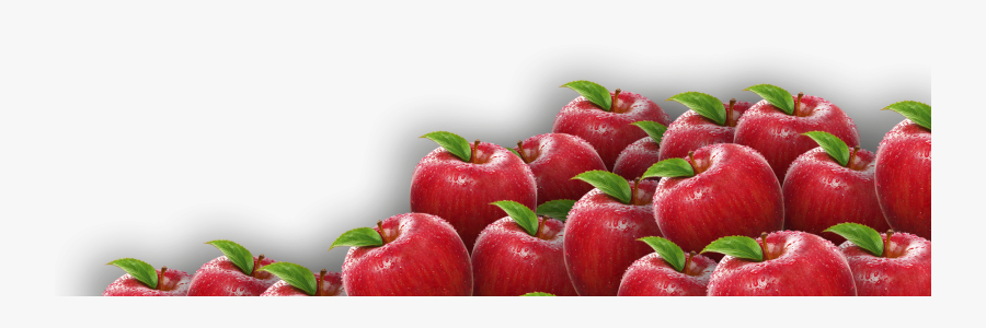 Transparent Apples Clipart - Apple Hd Png, Transparent Clipart