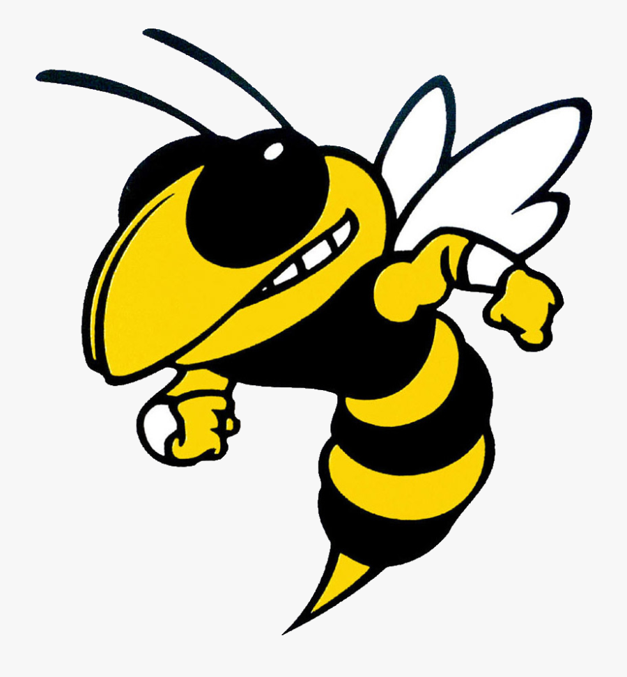 Clip Art The Hayesville Scorestream - Yellow Jacket Clipart, Transparent Clipart