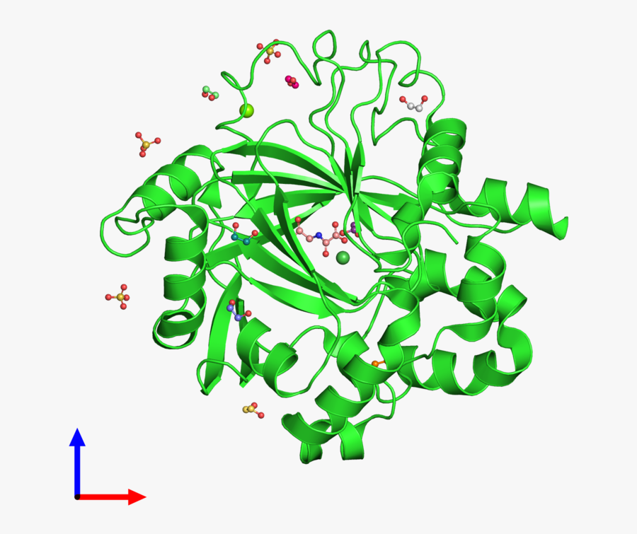 Pdb 5pl0 Coloured By Chain And Viewed From The Front - Graphic Design, Transparent Clipart
