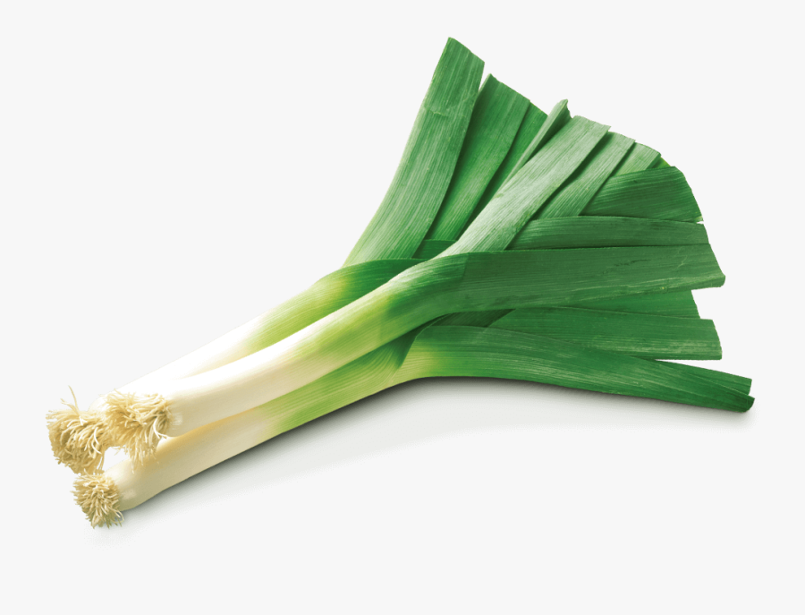 Vegetable Leek Png Image Free Download - Leek Png, Transparent Clipart