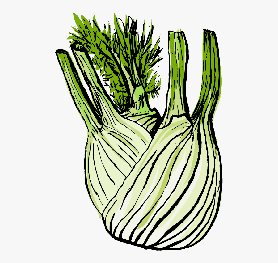 Leek Clipart , Png Download - Leek, Transparent Clipart