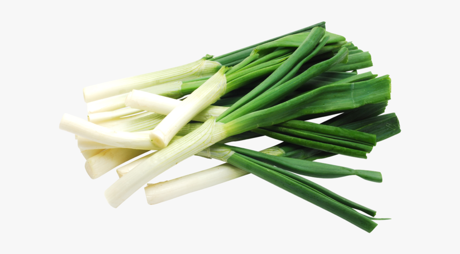 Leek Transparent, Transparent Clipart