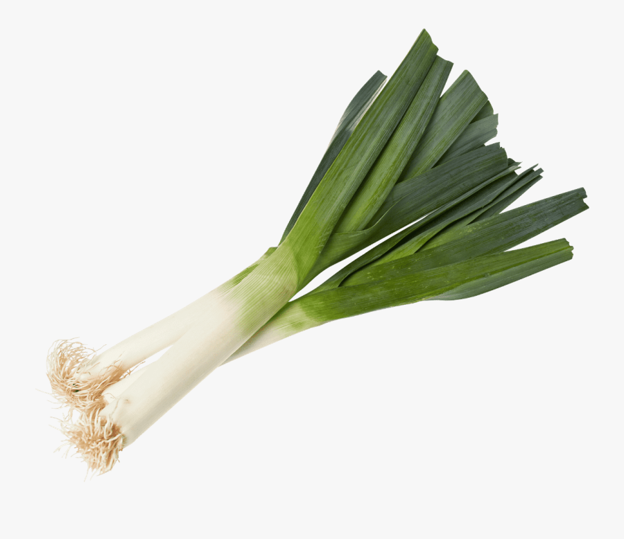 Leek Png, Transparent Clipart