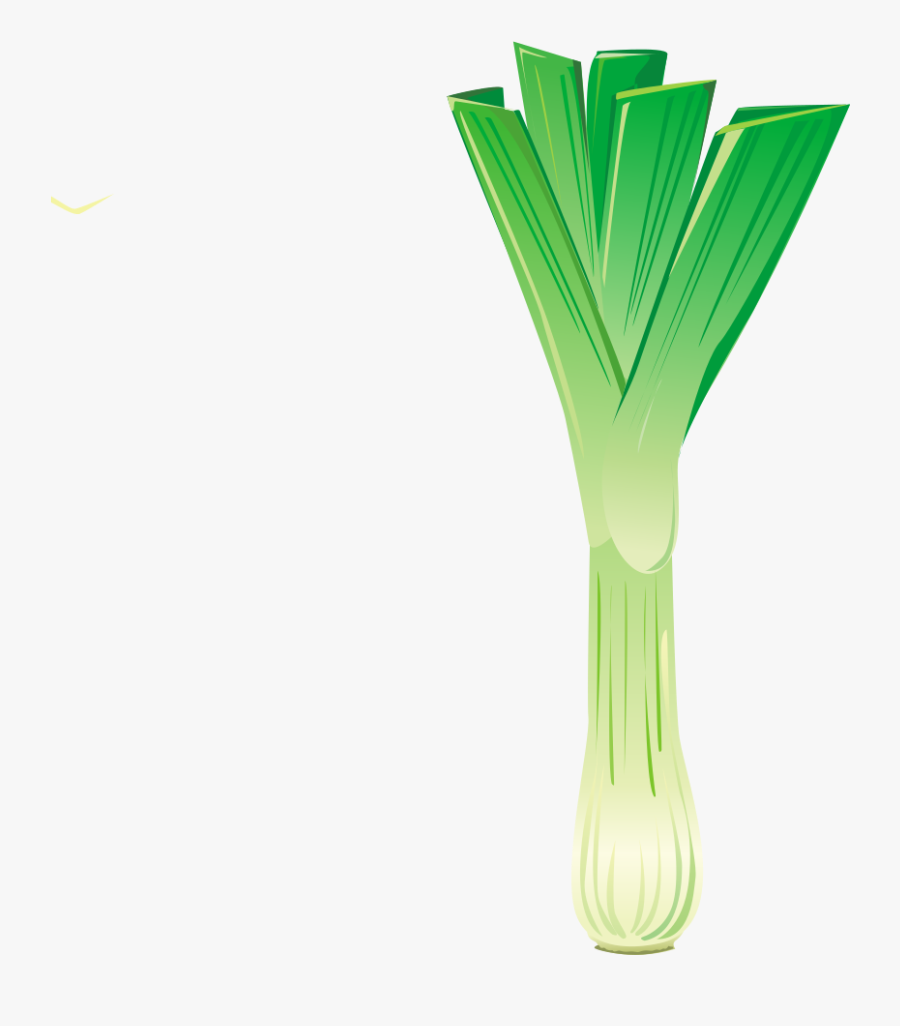 Leek, Transparent Clipart