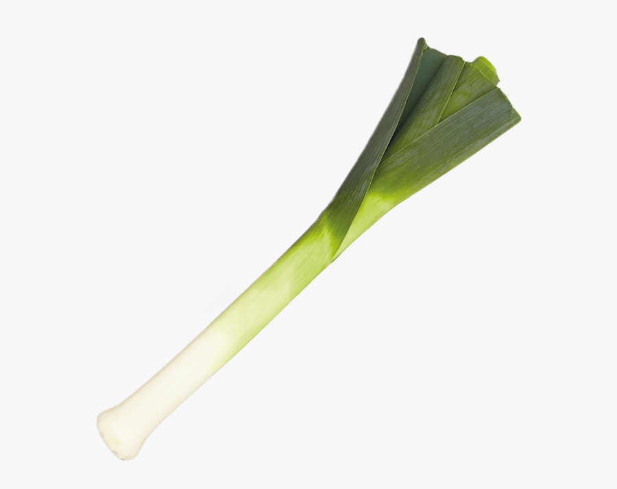 Leek Png Transparent Background - Leek Transparent Background, Transparent Clipart