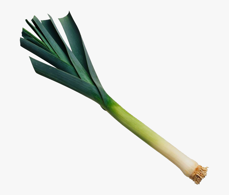 Leek Png, Transparent Clipart