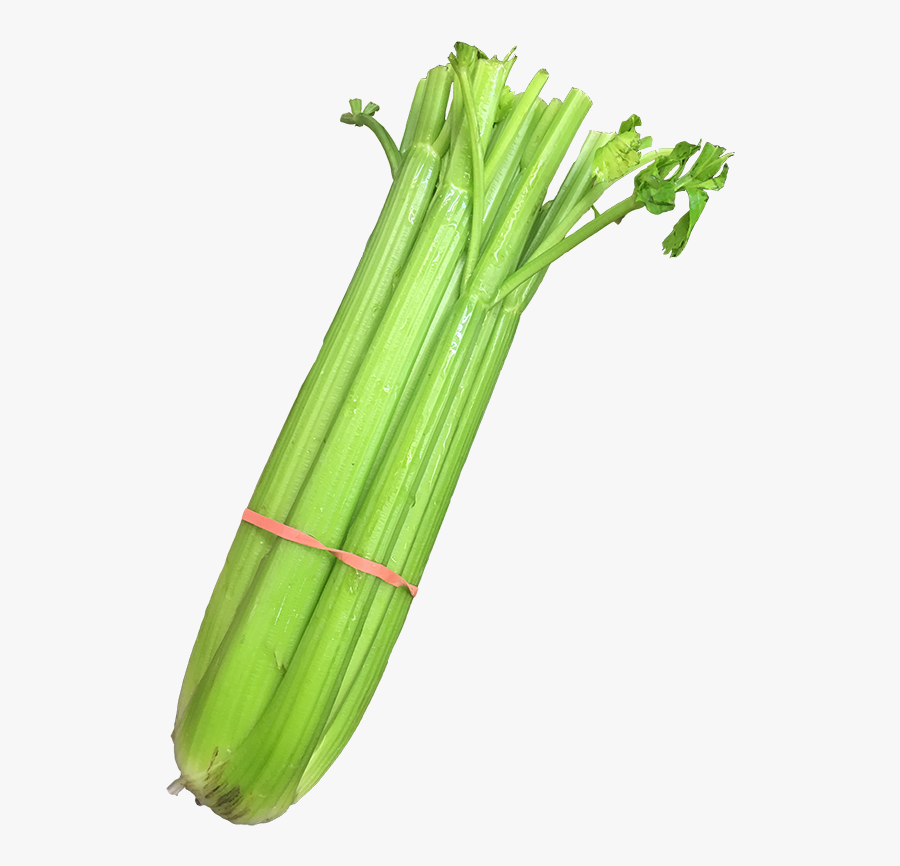Celery - Leek - Leek, Transparent Clipart