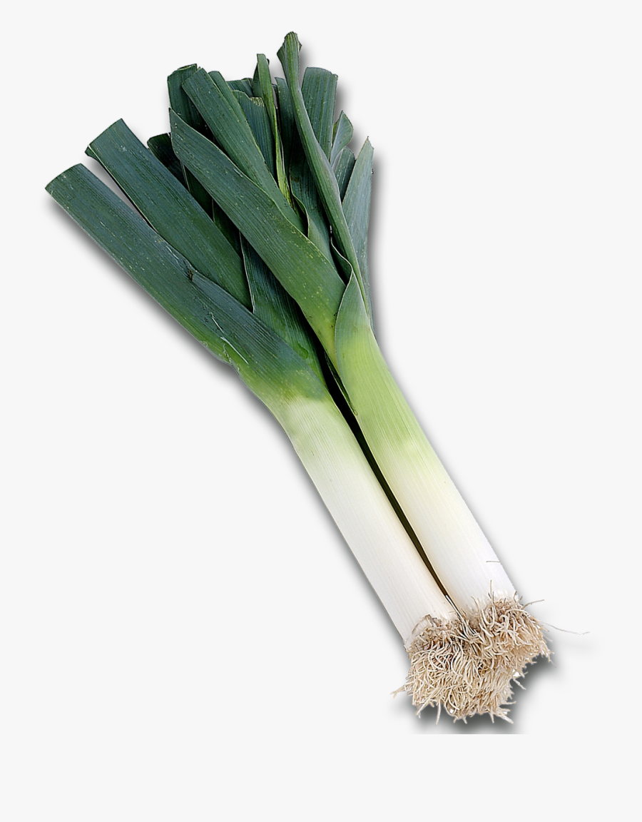 Leek Png - De Poireau A Imprimer, Transparent Clipart