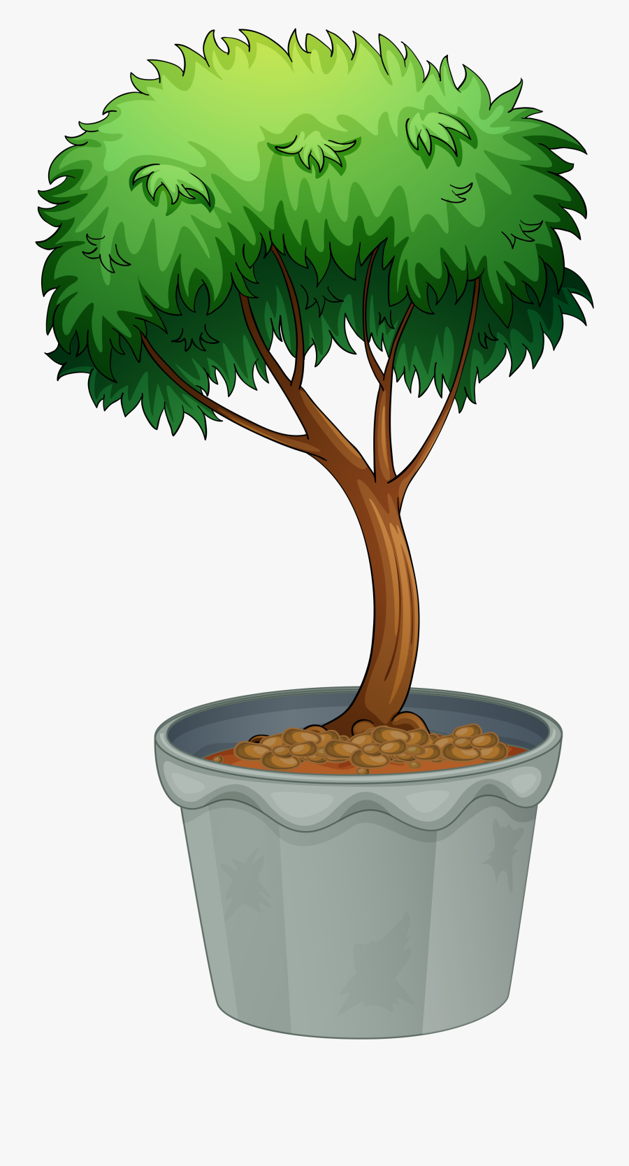 Different Size Of Plants, Transparent Clipart