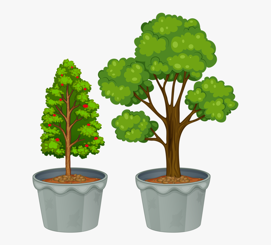 Different Size Of Plants, Transparent Clipart