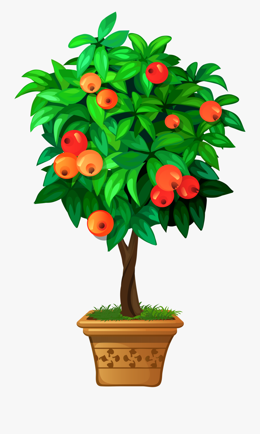 Plantas En Macetas Dibujar, Transparent Clipart