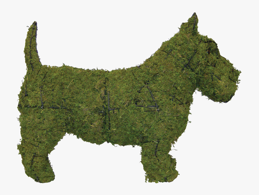 Scottish Terrier Lakeland Terrier Cairn Terrier Labrador - West Highland White Terrier, Transparent Clipart