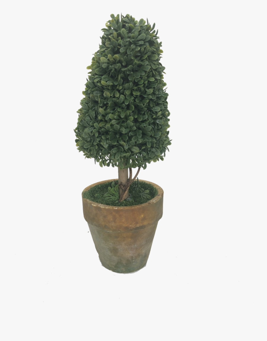 Potted Topiary Tree , Png Download, Transparent Clipart