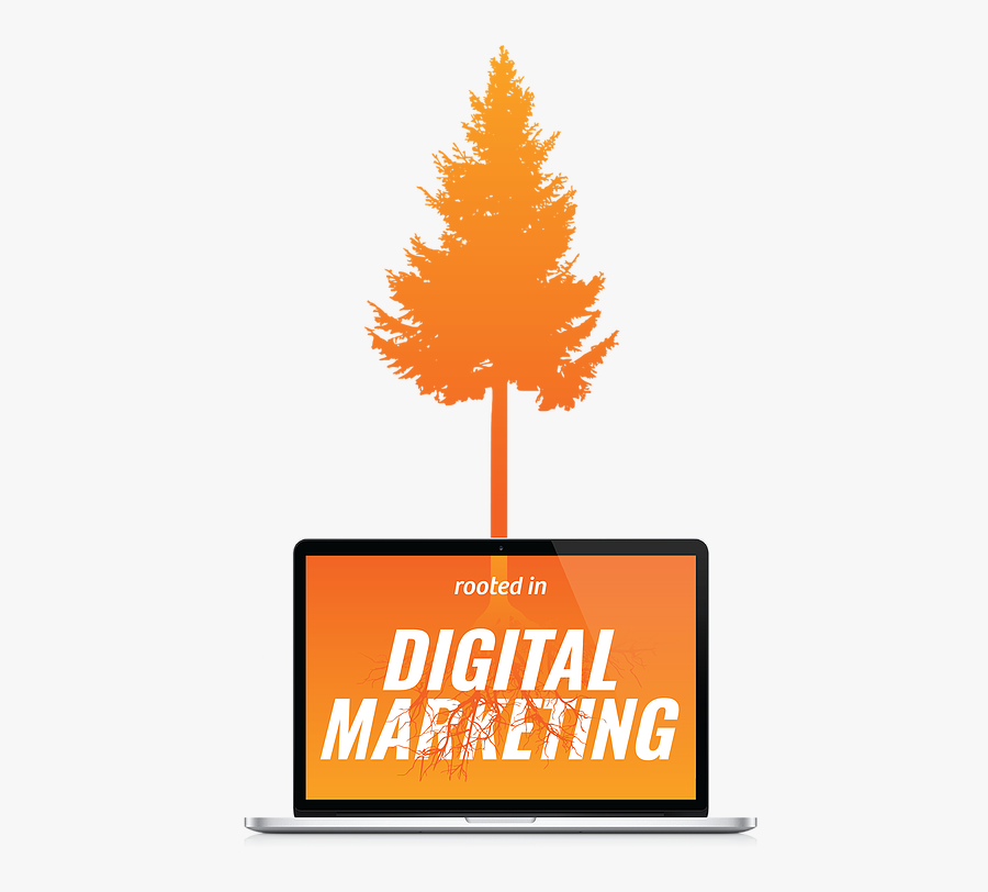 White Pine, Transparent Clipart