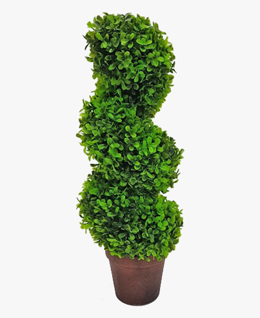 Topiary Tree Spiral - Spircal Bush Png, Transparent Clipart