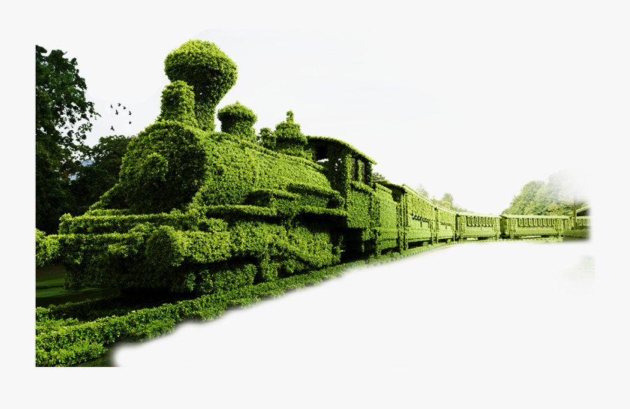 #train #topiary #garden #locomotive #transportation - Bush Sculpture, Transparent Clipart