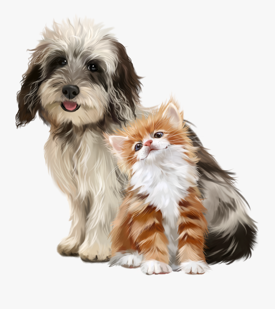 Cute Clipart, Robin James, Dc Comics, Dog Cat, Pies, - Flower Crown Dog Cat Painting, Transparent Clipart