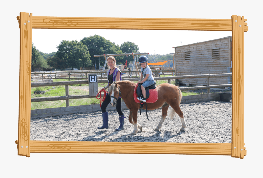Be A Pony Owner For The Day At Blackberry Farm Park, - Blackberry Farm Pony Party, Transparent Clipart