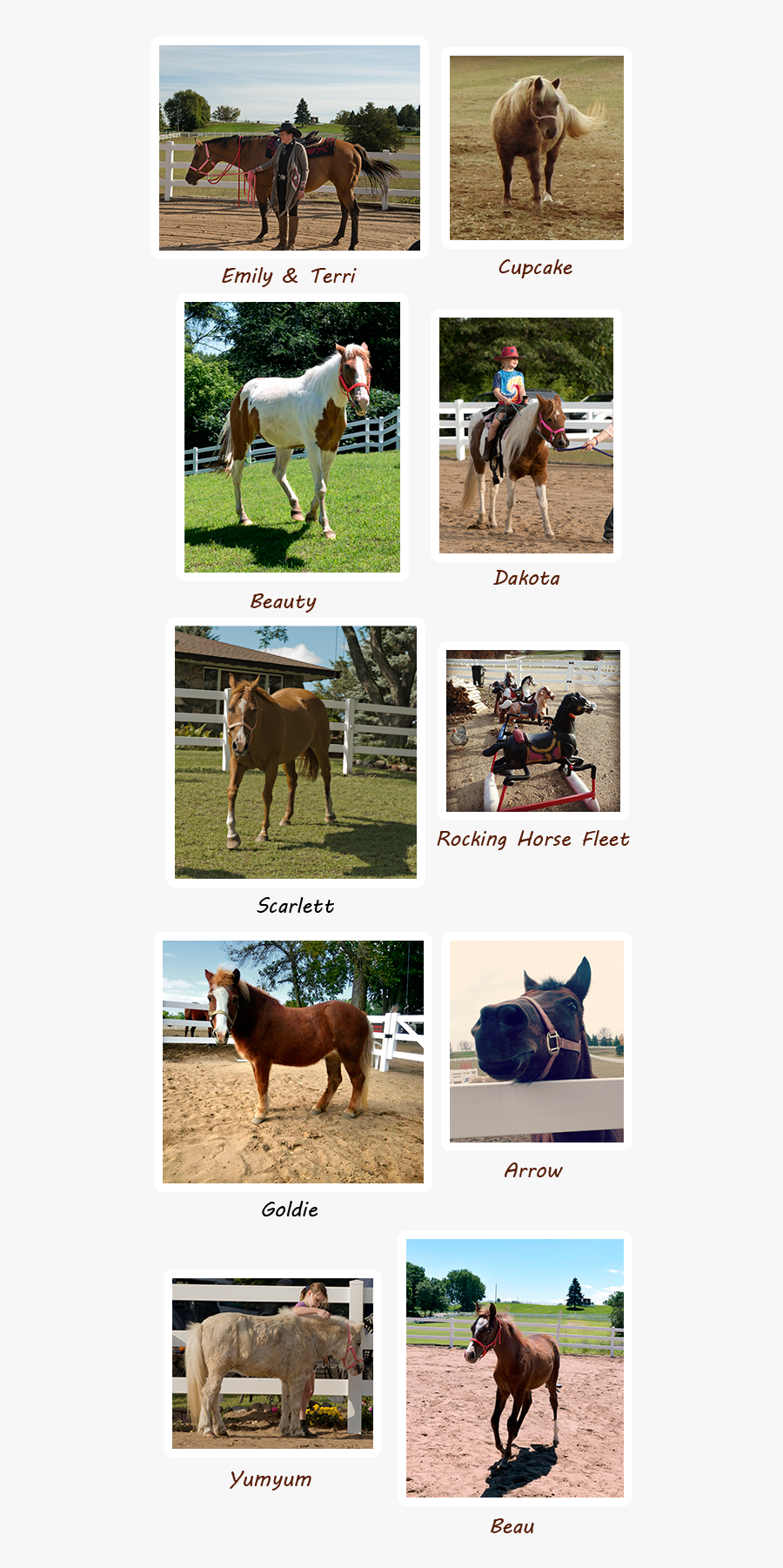 Our Ponies - Mane, Transparent Clipart