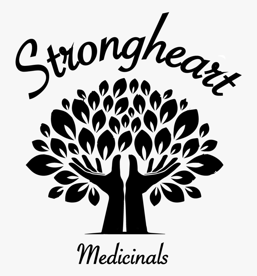 Transparent Graphic Design Png - Exploring Tree Macarthur, Transparent Clipart