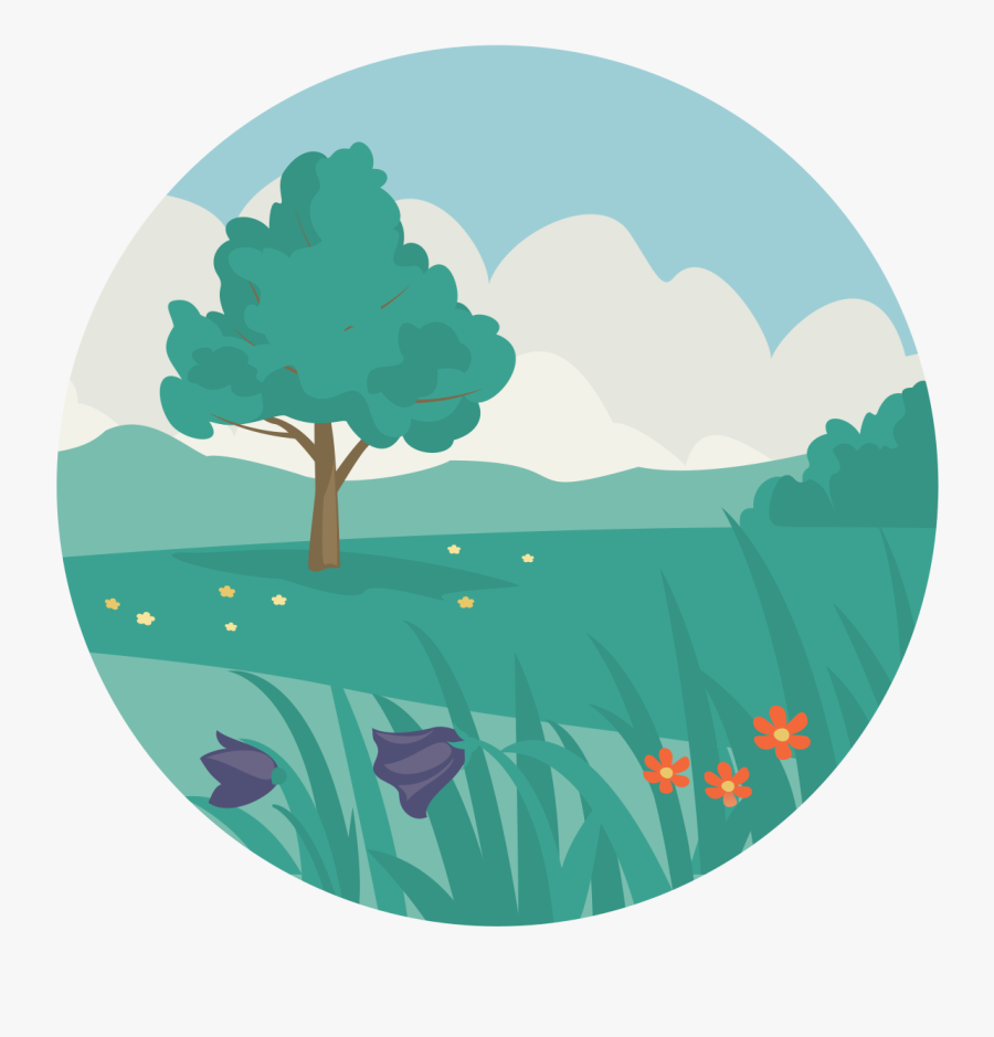 Oak, Transparent Clipart