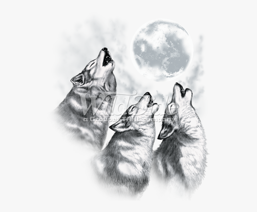Drawing Wolfs Growl Transparent Png Clipart Free Download - Wolves Howling At The Moon Drawings, Transparent Clipart