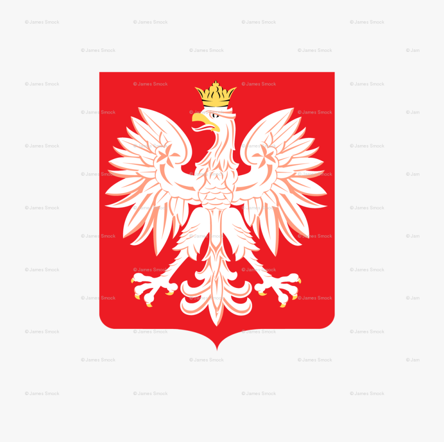 Godło Polski Clipart , Png Download - Poland Logo Png, Transparent Clipart