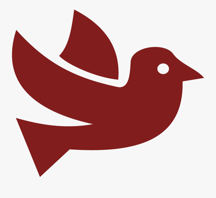 Dove Used At Weddings - Perching Bird, Transparent Clipart