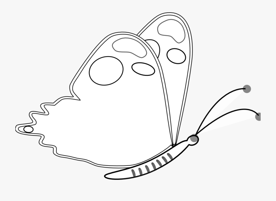 Brush-footed Butterfly, Transparent Clipart