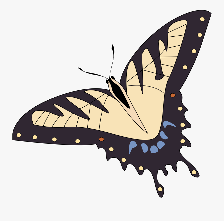 Papillon Svg, Transparent Clipart